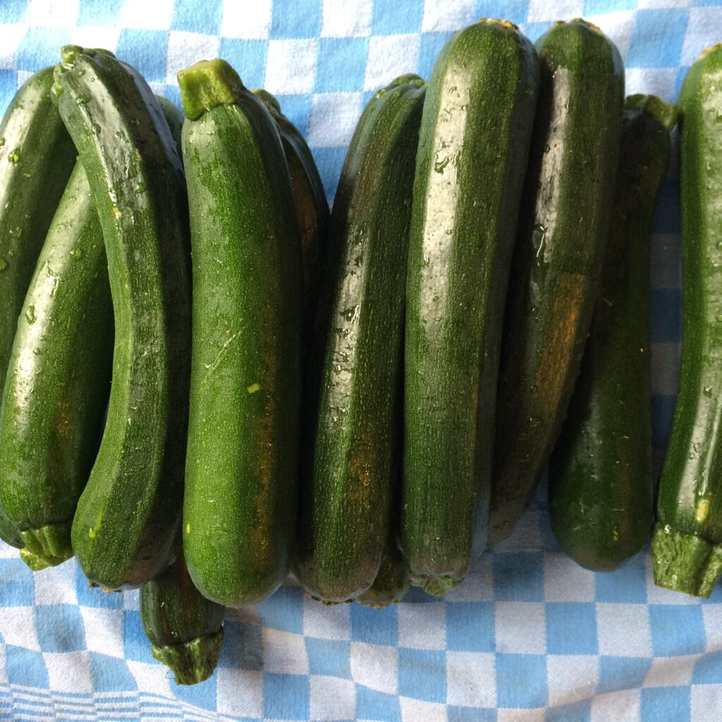 Courgette, pasta & appelmoes (v)