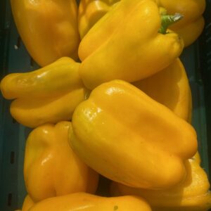 Gele paprika-soep (v)