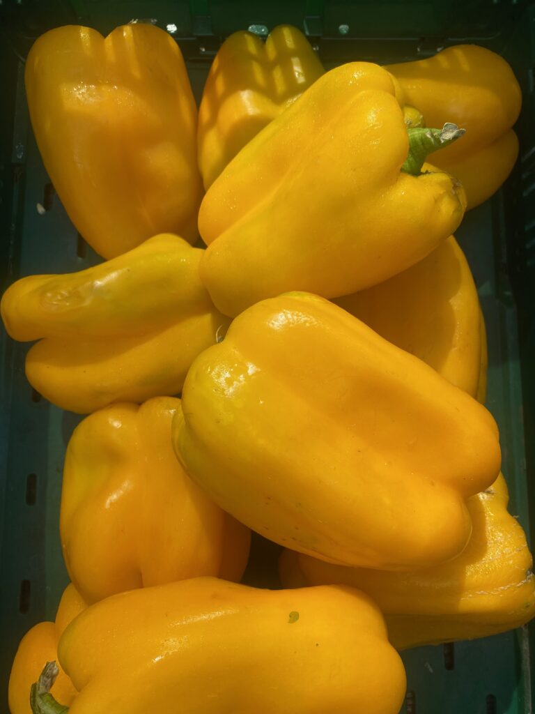 Gele paprika-soep (v)