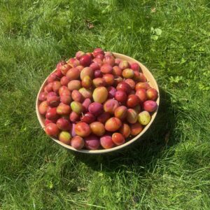 Pruimenchutney