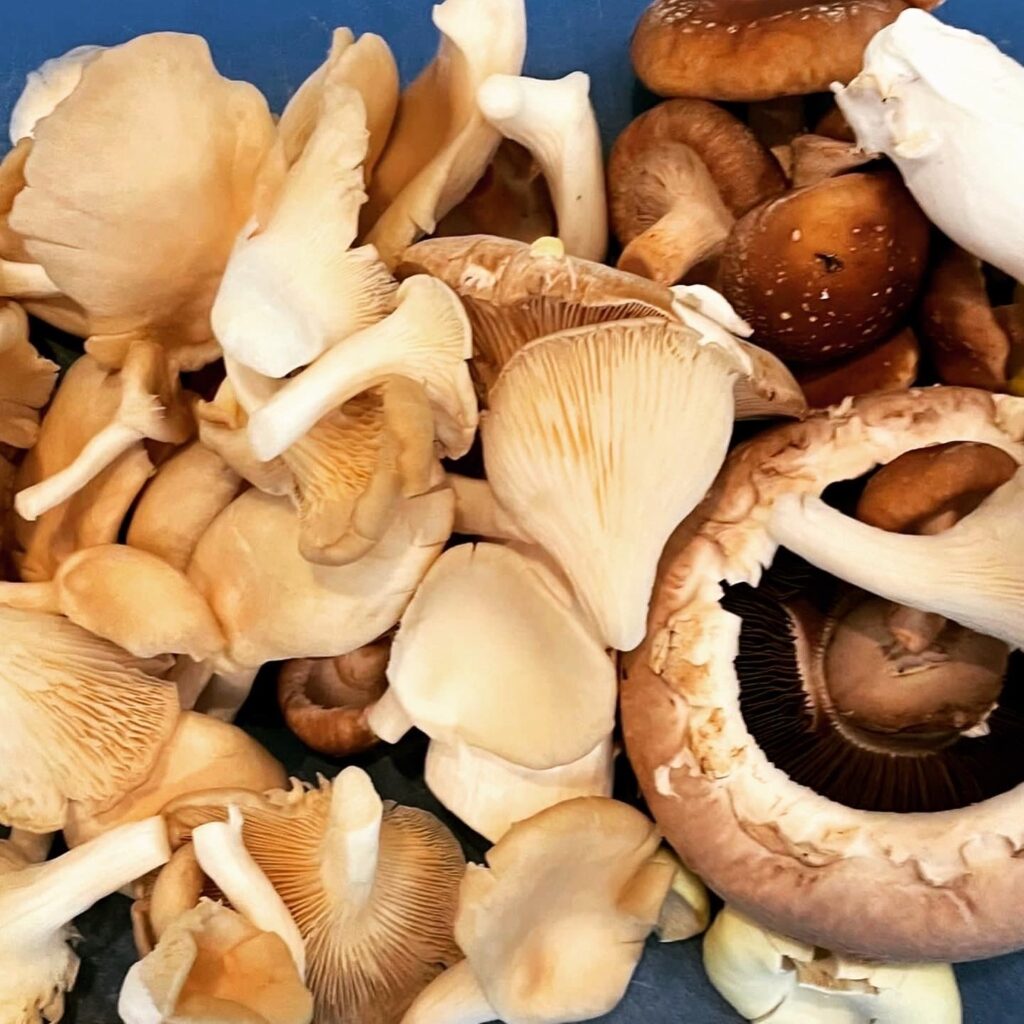 Paddenstoelen a la Normande (v)